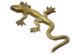 Messing salamander