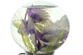 Bloemenaquarium lamp