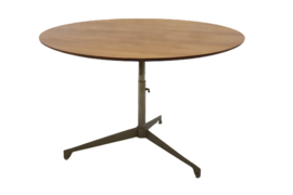 Eettafel / salontafel "Kamerik"