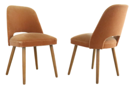 Set van 2 eetkamerstoelen 'Harrecoven'