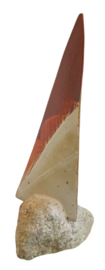 Seilbat