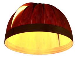 Hanglamp 'Permisjon'