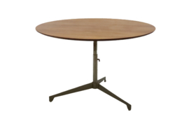 Eettafel / salontafel "Kamerik"
