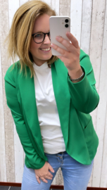 PS COMFY PAK ‘BLAZER’ | GUCCI GROEN