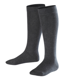 Family Knee - anthracite - katoenen kniekousen Falke, maat 35-38