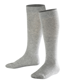 Family Knee - l.grey - grijze, katoenen kniekousen Falke, maat 31-34