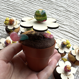 Een lolly traktatie voor meisjes die van bloemen houden