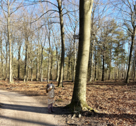 Weekendje quality time in Natuurhuisje Sød op de Veluwe