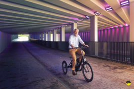 Driewieler Vasco - HUKA - Driewiel fiets