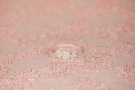 Luxe Lace Backdrop (roze)