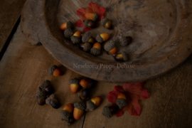 Set of Acorns