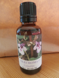 Glechoma hederacea - 30 ml