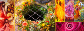 20 sept - Herfstequinox en het Archetype van de Vrouw in de Overgang
