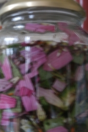 Echinacea (Rode Zonnehoed) 30 ml