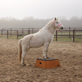 Freedom dressage block Square