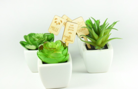 Houten planten label op stokje - per 10 stuks