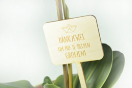 Plantenlabel groot