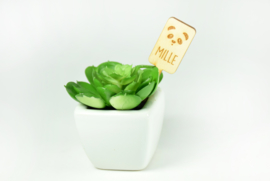 Houten planten label op stokje - per 10 stuks