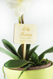 Planten label - groot - per stuk