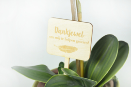 Plantenlabel groot