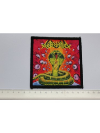TOXIC HOLOCAUST - CHEMISTRY OF CONSCIOUSNESS ( PRINT )