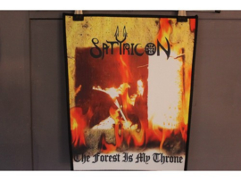 SATYRICON - THE FOREST IS MY THRONE