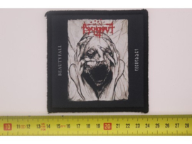 PSYCHONAUT 4 - BEAUTIFALL ( PRINT )