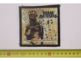ANAAL NATHRAKH - WHEN FIRE RAINS DOWN... ( PRINT )