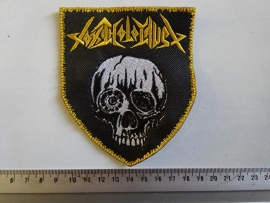 TOXIC HOLOCAUST - GOLD NAME LOGO + WHITE SKULL