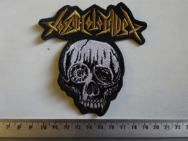 TOXIC HOLOCAUST - GOLD NAME LOGO + WHITE SKULL ( SHAPED )