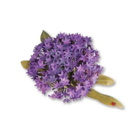 Sizzix Thinlits Die Set Flower (6pcs) - Globe Allium 659261