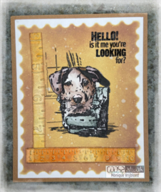 COOSA Crafts Clear Stamps #18 - Looking for me A7