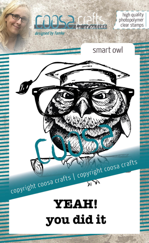 COOSA Crafts Clear Stamps #18 - Smart Owl A7