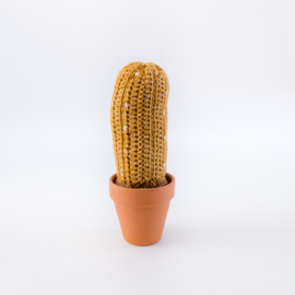 Cactus stip in pot okergeel