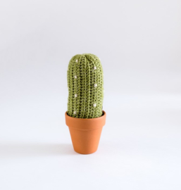 Cactus stip in pot groen