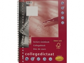 COLLEGEDICTAAT MULTO 23R RUIT 5MM 80GR FSC 80V