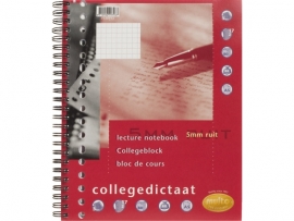COLLEGEDICTAAT MULTO 17R RUIT 5MM 80GR 80V