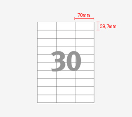 Printec adreslabel 70 x 29,7 mm 30 etiketten per vel