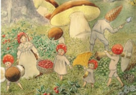 De kabouterkinderen - paddenstoelen plukken