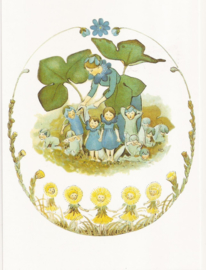 Blauwe anemoonfamilie
