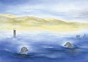 De zeehonden