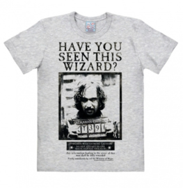 T-Shirt Harry Potter - Have You Seen This Wizard? - Grey Melange