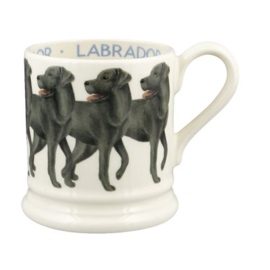 Half pint Black Labrador