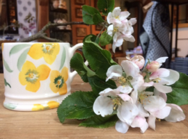 Hellebore and Holly babymug