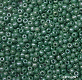 Rocailles groen glans ca. 4mm 20g