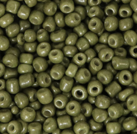 Rocailles 3mm Kiwi Groen