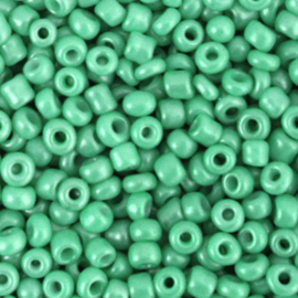 Rocailles 3mm Zeegroen glans