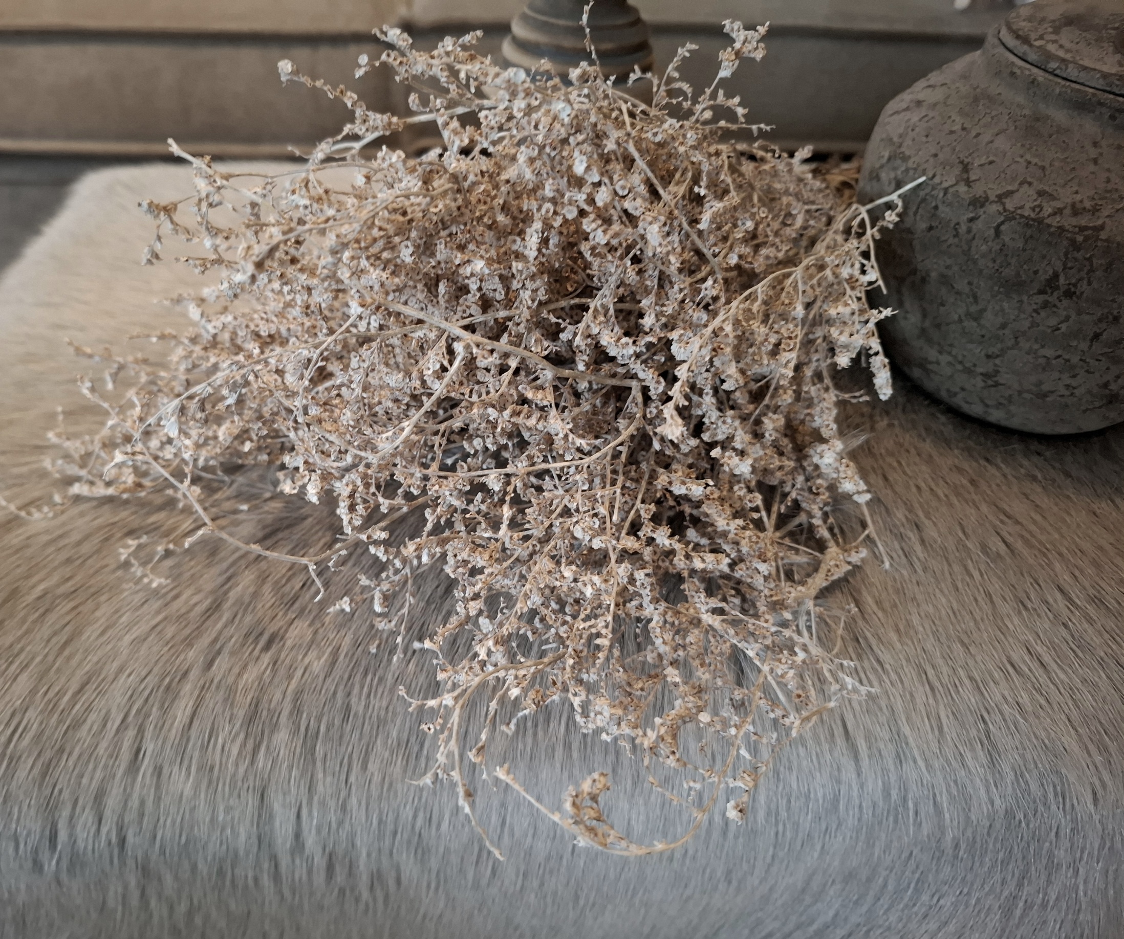 Bosje Limonium white