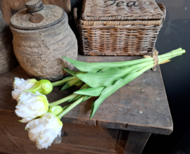 Bosje witte papegaai tulpen