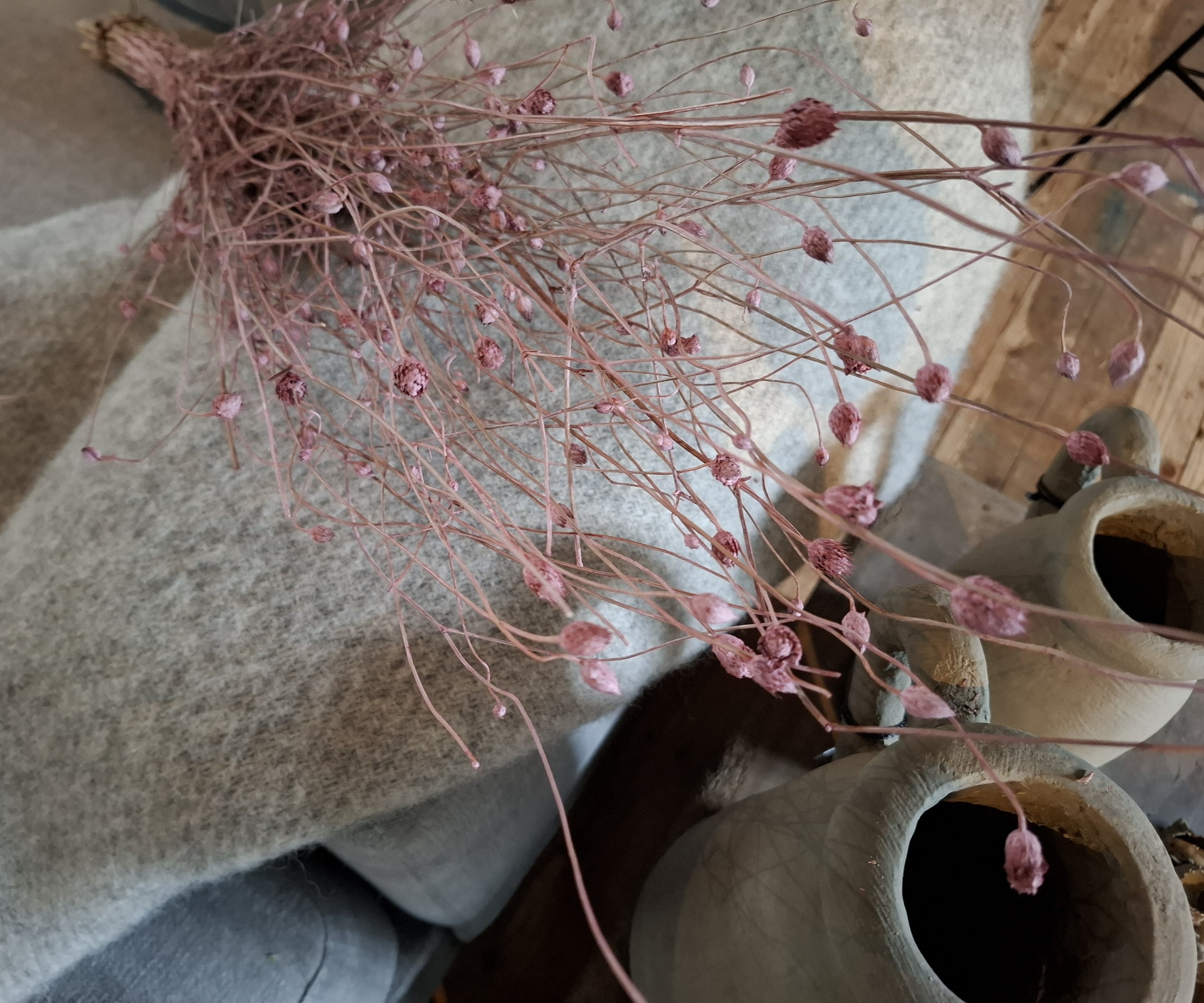 Droogbloemen rose